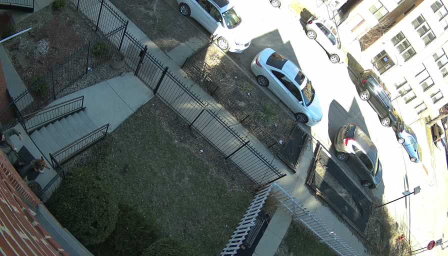 Reolink Camera Two_01_Reolink Home Hub One_20260323163135.jpg